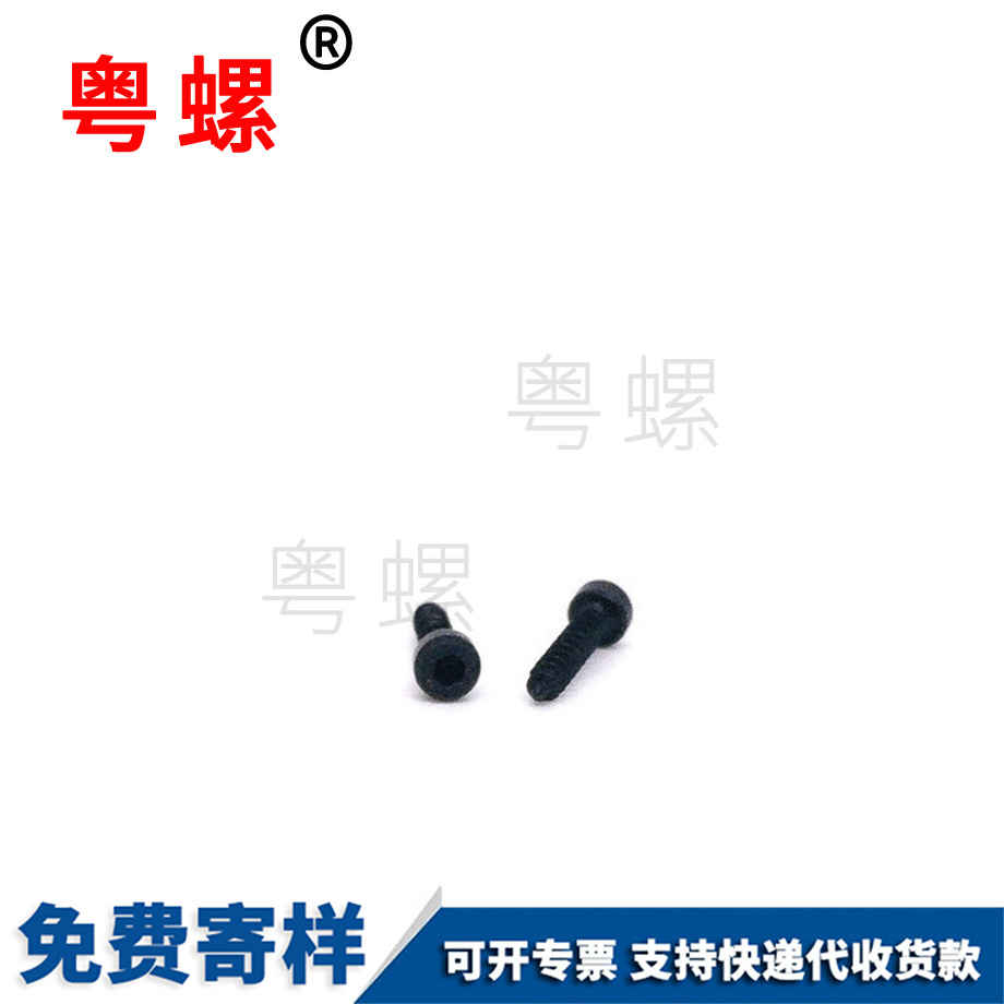 批發(fā)杯頭內(nèi)角邯鄲自攻螺絲
