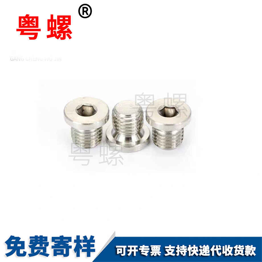 定制內(nèi)六角帶邊萊蕪堵頭