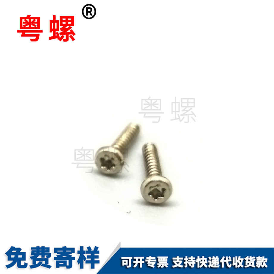 加工非標(biāo)電子文山小螺絲