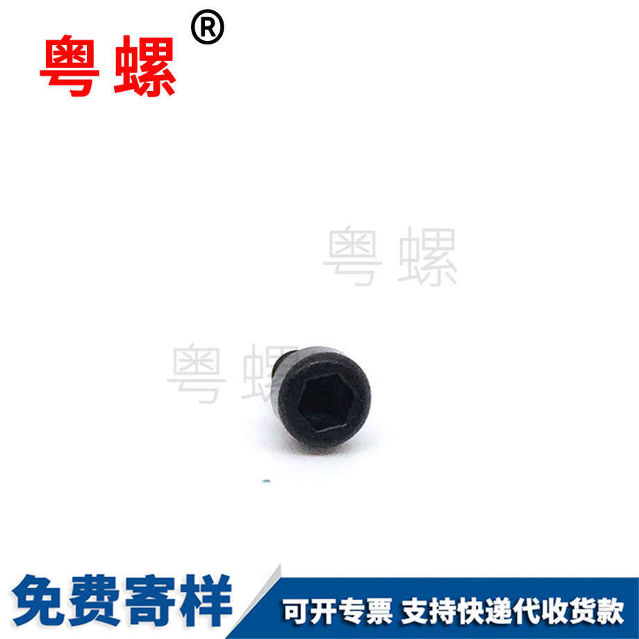生產(chǎn)杯頭梅花綏化自攻螺絲