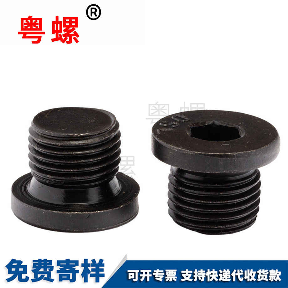 生產(chǎn)內(nèi)六角法蘭面邯鄲堵頭