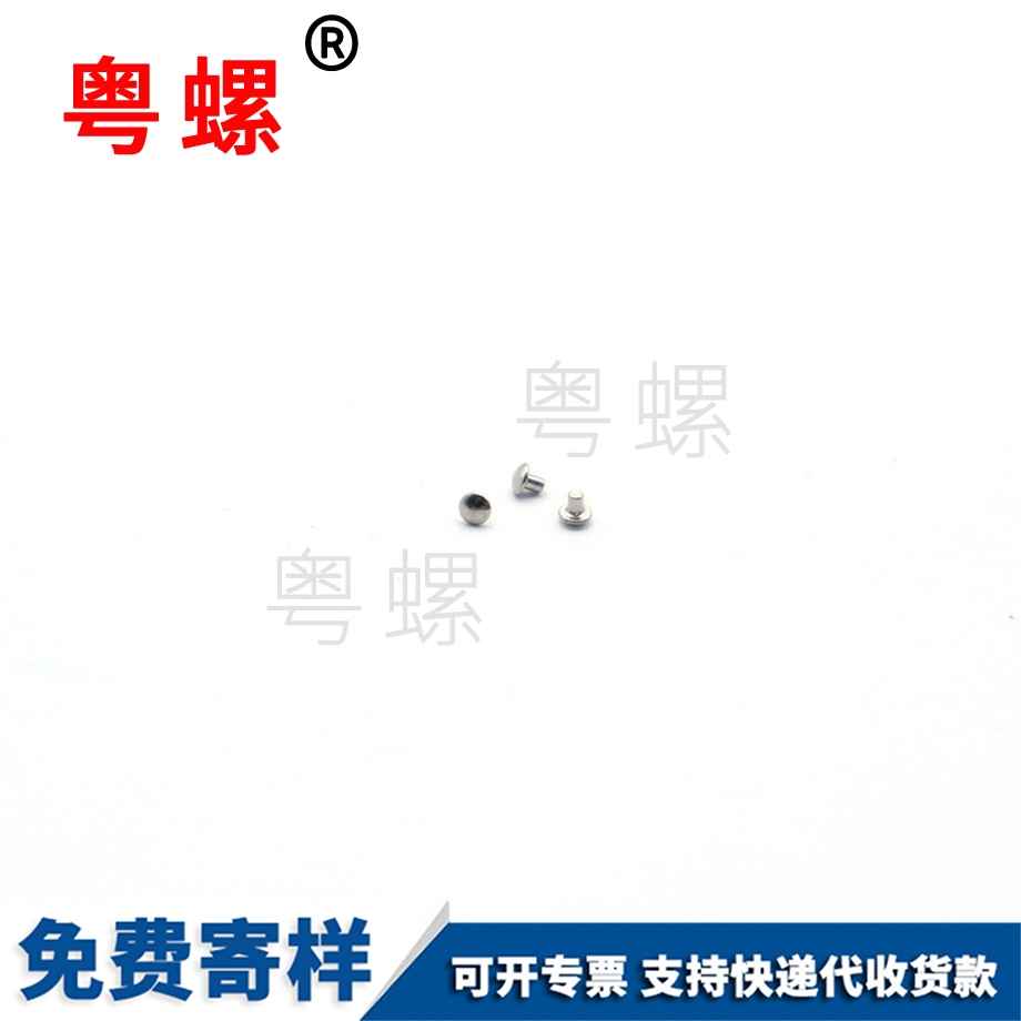 聊城圓頭鉚釘