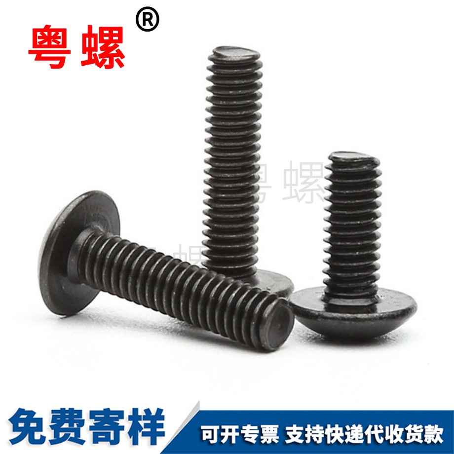 加工鐵黑色西雙版納大扁頭螺絲