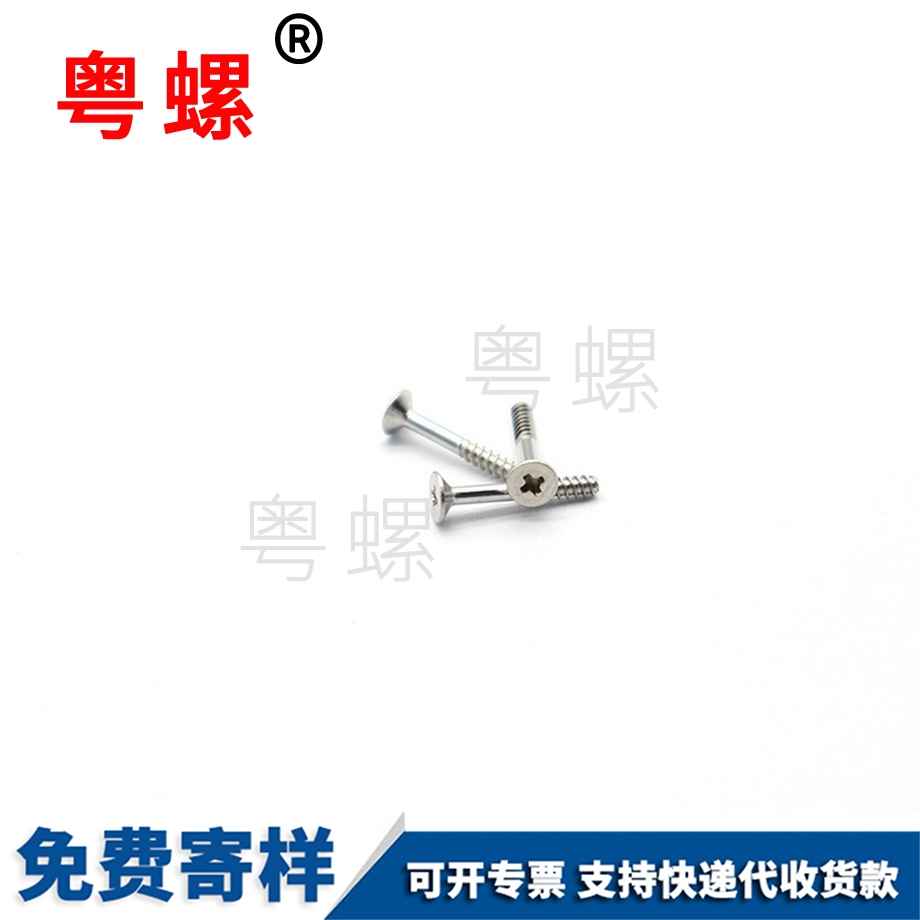 聊城電子儀器小螺釘