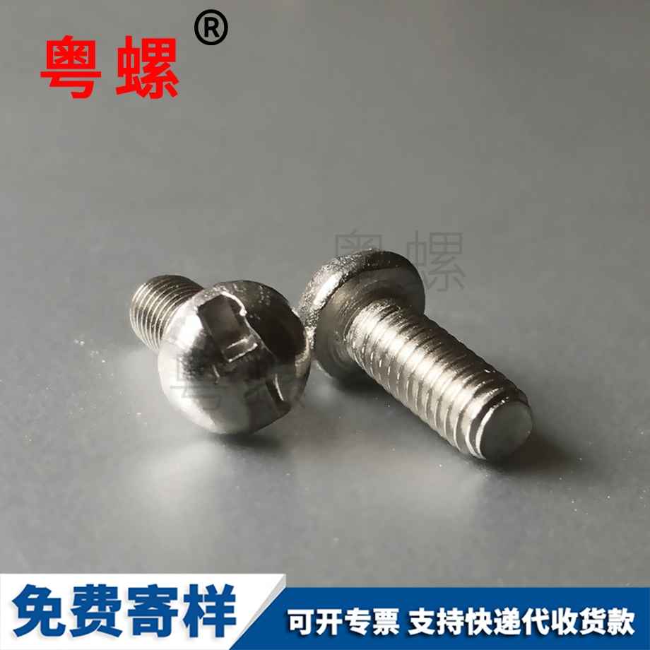 訂做圓頭H槽西雙版納防盜螺絲
